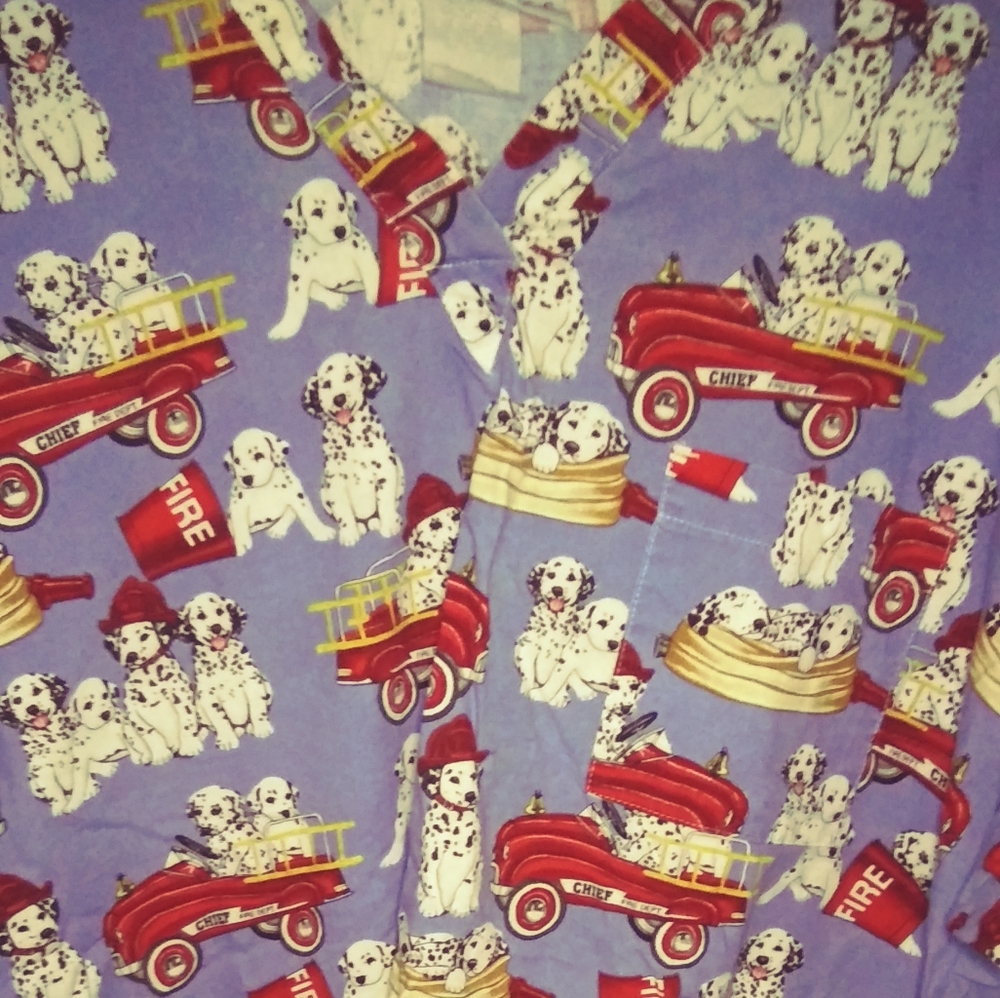 Peaches Scrub Top
